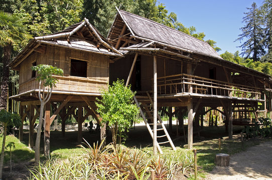 Maison de bambou