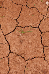trockene Erde