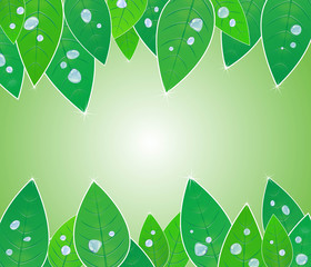 leaf and waterdrop background