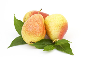 fresh pears