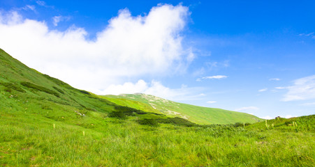 Obraz premium Beautiful landscape