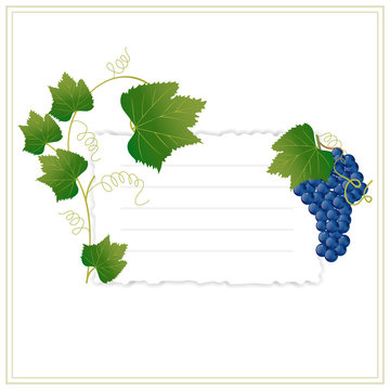 Frame with grapes and green leaves