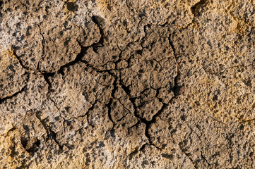 Dry cracked ground