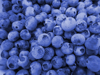 blueberries