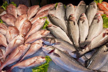 fresh fish at a fish market