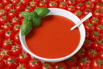 Frische Tomatensuppe