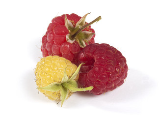 gelbe und rote Himbeeren