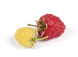 gelbe und rote Himbeere