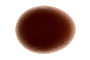 chicken egg