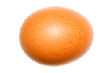 chicken egg