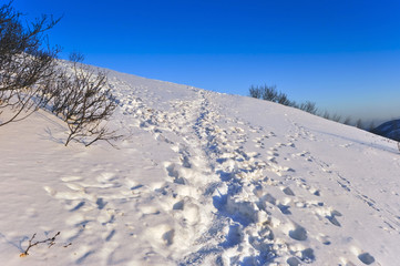 Fototapeta na wymiar Footpath on snow