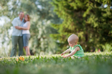 Fototapeta premium complete family