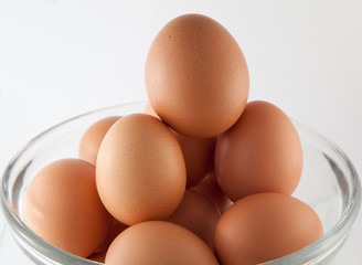 Chicken Eggs
