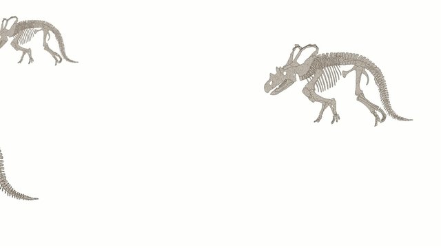 ケラトプスの行進01