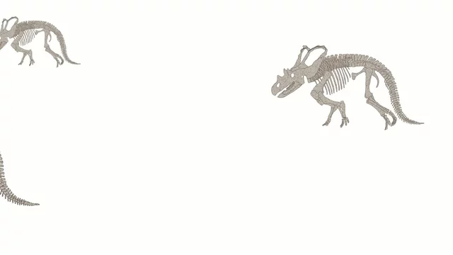 10 最適な 鎧竜類 画像 ストック写真 ベクター Adobe Stock