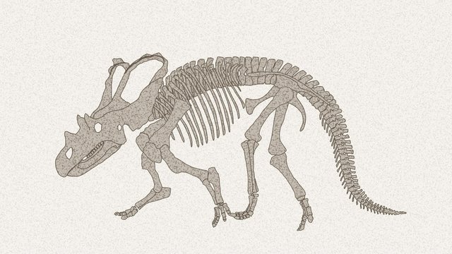 ケラトプスの化石01