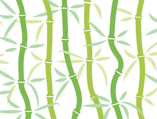 vector bamboo background