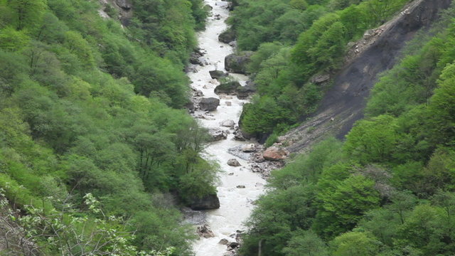 River in the gorge
