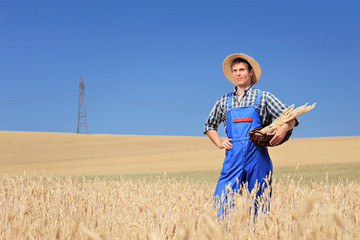 Farmer with panama hat holding a basket in a wheat field
