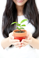 beautiful asian woman with small plant