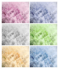 Abstract backrounds