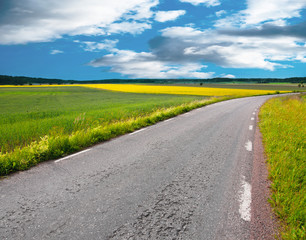 Naklejka premium Rural asphalt road