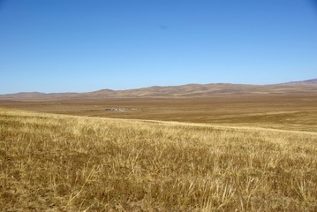 Steppe, Mongolie