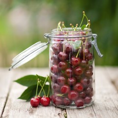 Sommerzeit - Sauerkirschen