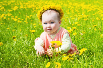 little girl walks on a glade with dandelions