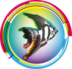 Fish illustration