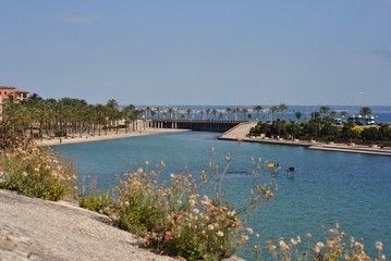 palma de mallorca