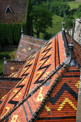 Toits polychromes
