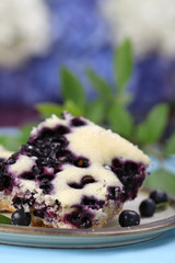 Sponge cake with blueberries