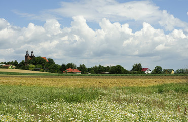 Wielkopolski krajobraz © Grzegorz Polak