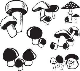 set of mushrooms, black and white style
