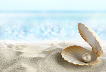 Shell with a pearl - 33388049