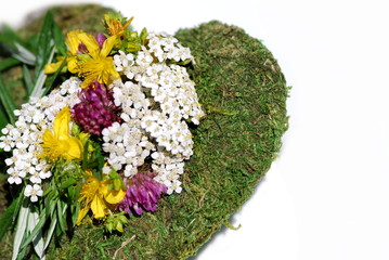 Kräuterherz Heilkräuter verschiedene  Freisteller