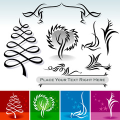 Natural Calligraphic Designs  And   Decoration Elements : VECTOR