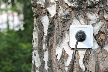 Ecological concept, symbolizing renewable energy, bio energy