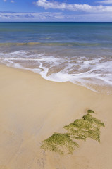 Sand on the beach