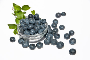 Blaubeeren in Schale mit Blätter