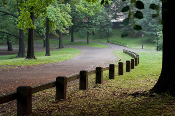 Central Park, New York