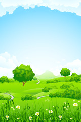Green Landscape with trees and mountain