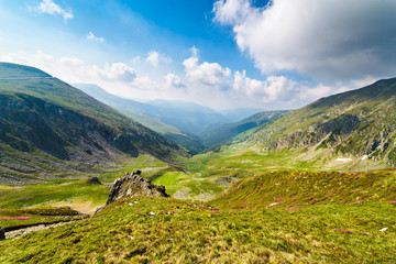 Fototapeta na wymiar Landscape with Mohoru peak of Parang mountains in Romania