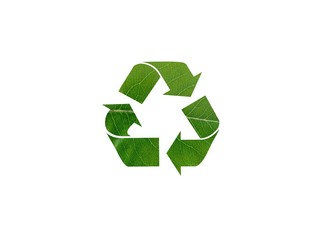 Obraz premium Green Leaf