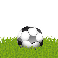 Fototapeta premium vecteur, ballon de football