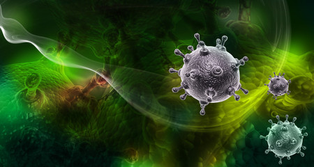 influenza virus