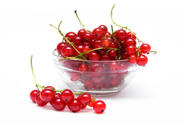 Red currants in a glass bowl