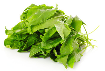 Fresh leaves of a sorrel on a white background