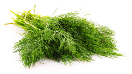 Dill isolated on white